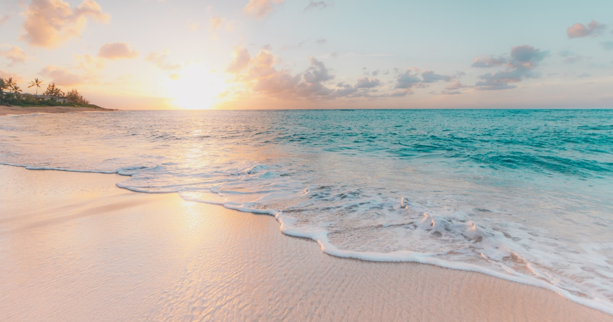 Do holidays carry over from one year to the next?